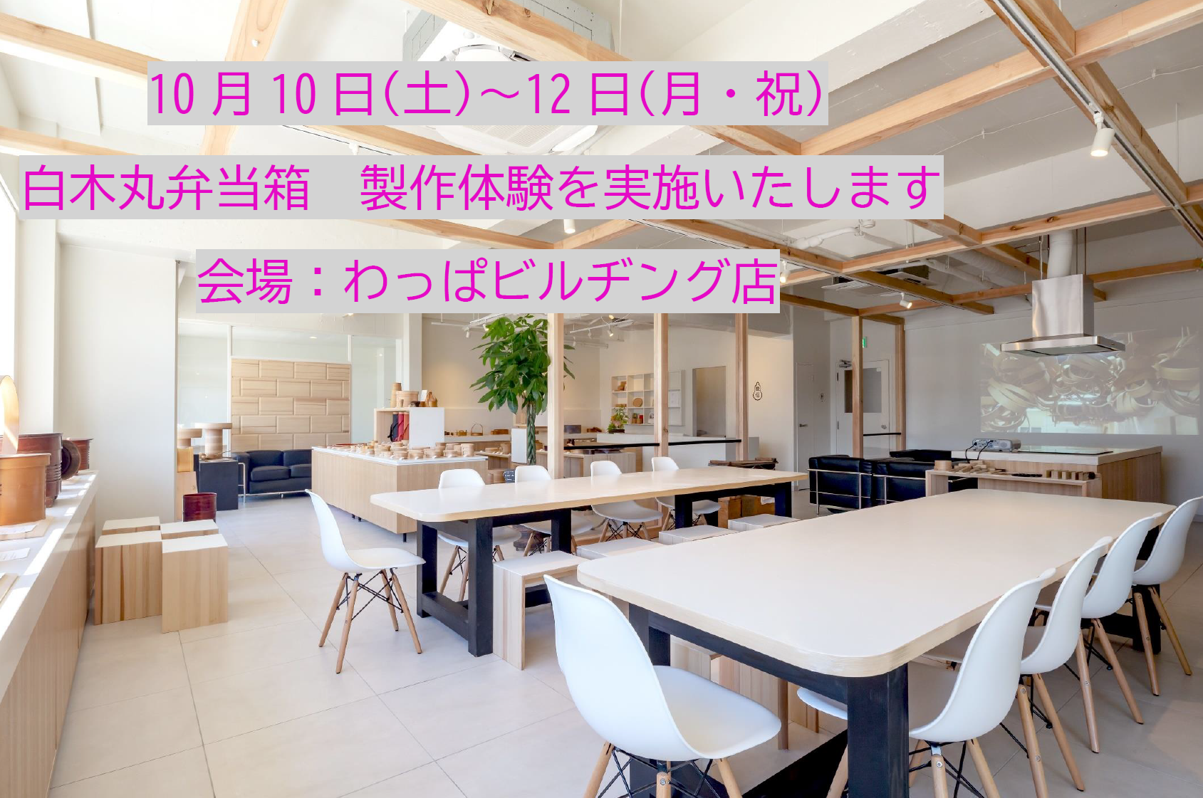 お知らせ – 柴田慶信商店